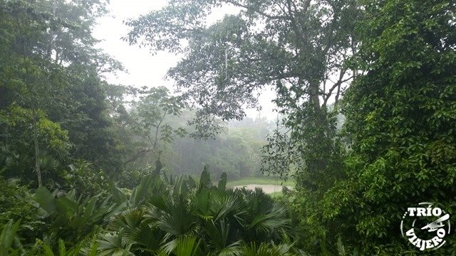 CostaRica_SelvaBananito_vistas