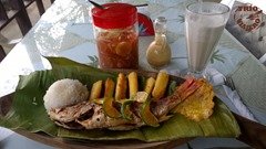 CostaRica_SodaPalmeras_pargo