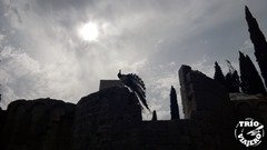 Croacia_Lokrum_PavoReal